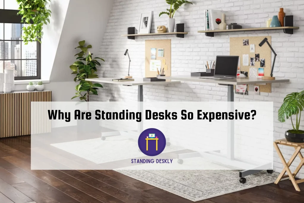 Why Are Standing Desks So Expensive